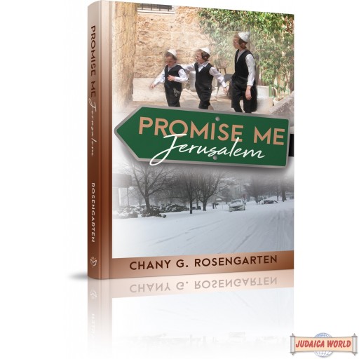 Promise Me, Jerusalem, A gripping novel of the recent past