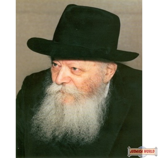 16" x 20" Picture of The Rebbe with the Gevirim on poster paper (Rights belong to M Kavitzky)