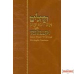 Tehillim - Ohel Yosef Yitzchok