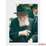 3 Wallet Size Rebbe Pictures ( #2)