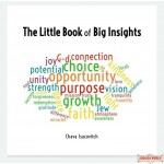 The Little Book Of Big Insights
