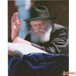 8" x 10" Famous Lag Be'omer Wave Picture (Rights belong to S Roumani)