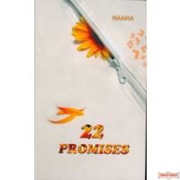 22 Promises  - Novel
