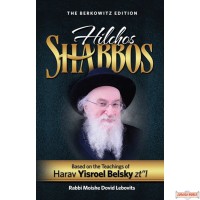 Hilchos Shabbos, Harav Yisroel Belsky zt"l