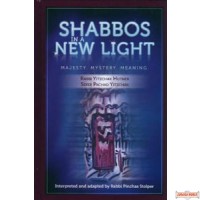 Shabbos In A New Light