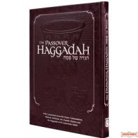 The Passover Haggadah - Deluxe cover