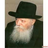 8" x 10" Picture of The Rebbe with the Gevirim on poster paper (Rights belong to M Kavitzky)