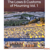 The Laws & Customs of Mourning #2 S/C