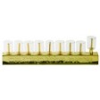 Glass Cup Menorah with Tzinoros and Wicks