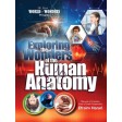 Exploring the Wonders of the Human Anatomy