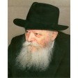 16" x 20" Picture of The Rebbe with the Gevirim on poster paper (Rights belong to M Kavitzky)