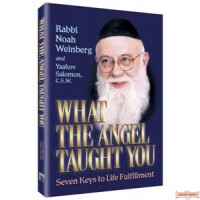 What the Angel Taught You - Softcover