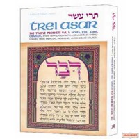 Trei Asar I / Twelve Prophets I - Hardcover