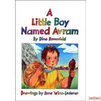 A Little Boy Named Avram - Hardcover