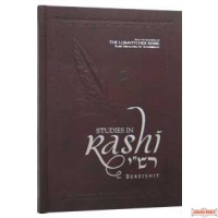 Studies in Rashi #1 - Bereishis